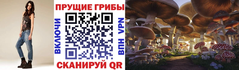 Галлюциногенные грибы ЛСД  дарк нет формула  Жуковка  кракен зеркало 